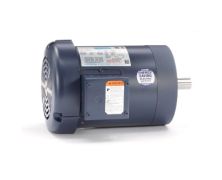 C143T11FC1H_Leeson General Purpose Three Phase Enclosed (TEFC) 1