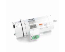 C143T17VK11B_White Epoxy Brake Washdown Motor 1