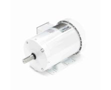 C143T17WB4A_White Epoxy General Purpose Washdown Motor 1