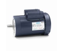 C145K17FC3M_Leeson General Purpose Single Phase (TEFC) 1