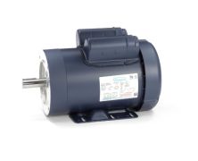 C145K17FK13C_Leeson General Purpose Single Phase (TEFC) 1