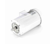 C145T17WC131A_White Epoxy General Purpose Washdown Motor 1