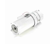 C145T17WC45A_White Epoxy Brake Washdown Motor 1