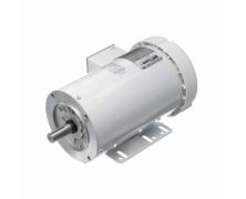 C145T17WK30A_White Epoxy General Purpose Washdown Motor 1