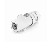 C145T17WK56A_White Epoxy Brake Washdown Motor 1