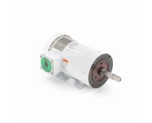 C145T17WK65A_White Epoxy (575 Volt) Washdown Motor