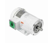 C145T34WK37A_White Epoxy General Purpose Washdown Motor 1