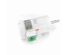 C145T34WK39A_White Epoxy Jm Pump Washdown Motor 1