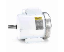 C182C17WB3D_White Epoxy General Purpose Washdown Motor 1