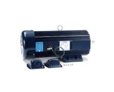 C182D17FK2B_DC SCR Motor 1