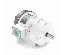 C182T17WB10A_White Epoxy General Purpose Washdown Motor 1