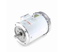 C182T17WC13A_White Epoxy General Purpose Washdown Motor 1