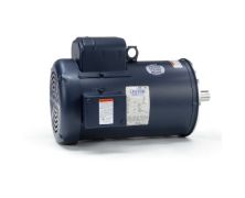 C184K17FC6D_Leeson General Purpose Single Phase (TEFC) 1