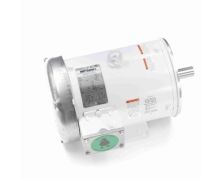 C184T17WK15A_White Epoxy General Purpose Washdown Motor 1