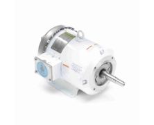C184T17WK24A_White Epoxy Jm Pump Washdown Motor