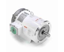 C184T34WK10A_White Epoxy General Purpose Washdown Motor 1
