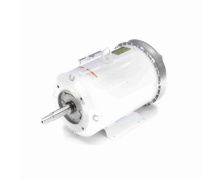 C184T34WK19A_White Epoxy Jm Pump Washdown Motor 1