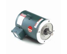 C213T17DC5E_Leeson General Purpose Three Phase (ODP) 1