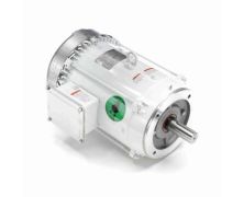 C213T17WC5A_White Epoxy General Purpose Washdown Motor 1