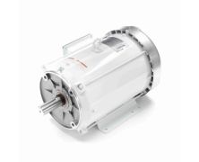 C213T17WK9A_White Epoxy General Purpose Washdown Motor 1