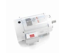 C213T34WK6A_White Epoxy General Purpose Washdown Motor 1