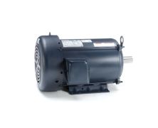 C213T8FB4A_Leeson General Purpose Three Phase Enclosed (TEFC) 1