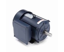C215K17FB12B_Leeson General Purpose Single Phase (TEFC) 1