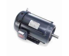 C215T17FK48A_Leeson General Purpose Three Phase Enclosed (TEFC) 1