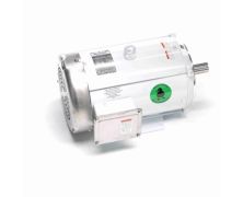 C215T17WK9A_White Epoxy General Purpose Washdown Motor 1