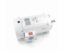 C215T34WK9A_White Epoxy General Purpose Washdown Motor 1