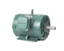 C254T17DB9D_Leeson General Purpose Three Phase (ODP) 1