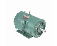 C254T17DK7A_Leeson General Purpose Three Phase (ODP) 1