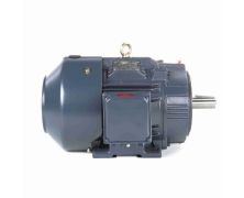 C254T34FK16AA_Leeson General Purpose Three Phase Enclosed (TEFC) 1