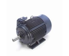 C254T8FB5AA_Leeson General Purpose Three Phase Enclosed (TEFC) 1