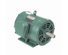C256T11DB45D_Leeson General Purpose Three Phase (ODP) 1