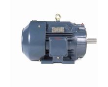 C286T17FK17AA_Leeson General Purpose Three Phase Enclosed (TEFC) 1