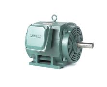 C324T11DB5A_Leeson General Purpose Three Phase (ODP) 1