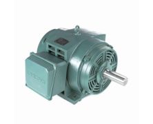 C405T34DB2A_Leeson General Purpose Three Phase (ODP) 1