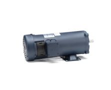 C4D17FK10H_DC SCR Motor 1