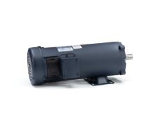 C4D17FK19F_DC SCR Motor 1