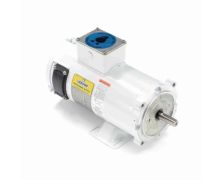 C4D18WK16A_DC Low Voltage Washdown Duty Motor