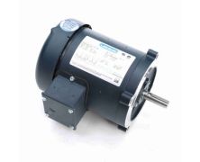 C4T17FC33A_Leeson General Purpose Three Phase Enclosed (TEFC) 1