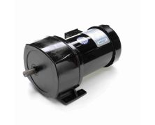 C4T17FZ52B_AC Parallel Shaft Gearmotor 1