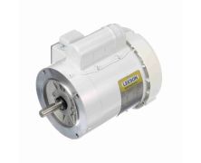 C6C17WC3G_White Epoxy General Purpose Washdown Motor 1