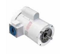 C6C17WC6G_White Epoxy General Purpose Washdown Motor 1
