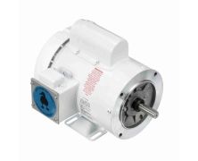 C6C17WK4N_White Epoxy General Purpose Washdown Motor 1