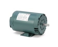 C6T11DB23A_Leeson General Purpose Three Phase (ODP) 1