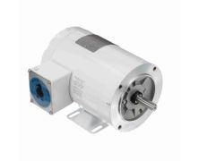 C6T11VK1D_White Epoxy General Purpose Washdown Motor 1