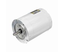 C6T17VC1J_White Epoxy General Purpose Washdown Motor 1