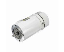 C6T17VC42B_White Epoxy Brake Washdown Motor 1